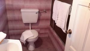 Speyside榜首山景宾馆的粉红色的浴室设有卫生间和水槽