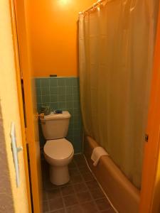 PrattPratt Budget Inn的一间带卫生间和淋浴的小浴室