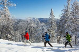 圣安娜德蒙Auberge de Montagne des Chic-Chocs Mountain Lodge - Sepaq的三人步行上雪覆盖的斜坡