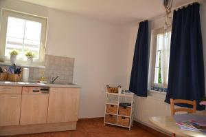 耐德西茨Ferienwohnung Landtraum的厨房配有蓝色窗帘、水槽和桌子
