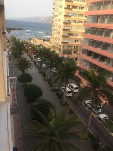 拉克鲁斯Apartamento Puerto de la Cruz的一条棕榈树和建筑与海洋的街道
