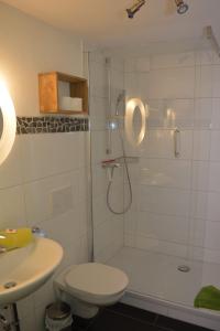 巴特欣德朗Bergsteiger-Hotel "Grüner Hut"的带淋浴、卫生间和盥洗盆的浴室