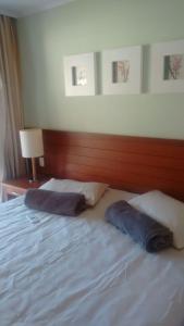 安格拉杜斯雷斯Flat particular no Resort em Angra Dos Reis的床上有2个枕头
