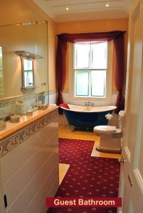奥克兰格兰奇酒店的带浴缸、卫生间和盥洗盆的浴室