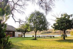 龙杜Camp Hogo Kavango的湖畔的公园,有长凳和树木