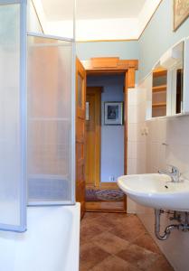 赖因斯贝格Prinzenwohnung的一间带水槽和淋浴的浴室