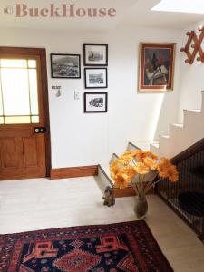 海德堡Buckhouse Elegant Village Apartment的走廊上设有楼梯,门上设有地毯