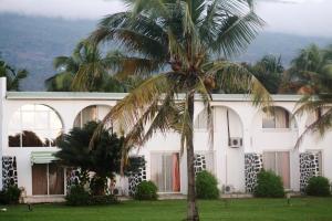 莫罗尼Retaj Moroni的白色建筑前的棕榈树