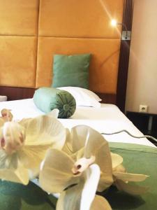 SilistraПансион Роди的酒店的客房 - 带枕头和鸟儿的床
