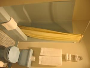伊萨卡大使汽车旅馆的一间浴室