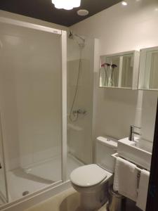 大塔拉哈尔Fuerteventura in Loft的带淋浴、卫生间和盥洗盆的浴室