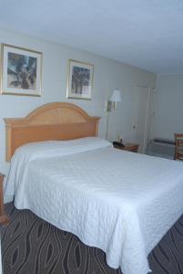 默特尔比奇海军上将汽车旅馆的一张大白色的床,位于酒店客房内