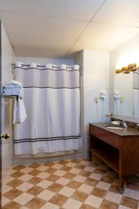 纽约百老汇广场酒店的浴室配有淋浴帘和盥洗盆。
