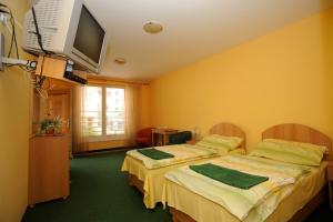 帕尔杜比采城市酒店的酒店客房设有两张床和一台平面电视。