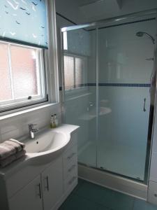 朴次茅斯Special seafront apartment的一间带水槽和玻璃淋浴的浴室
