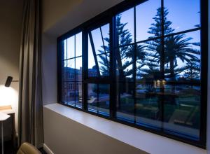 弗里曼特探秘弗里曼特尔公寓的享有棕榈树景致的窗户