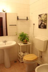 卡纳希迪Mary's House的浴室设有卫生间和植物水槽。