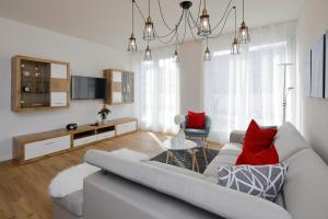 弗莱堡弗赖堡顶层公寓的带沙发和红色枕头的客厅