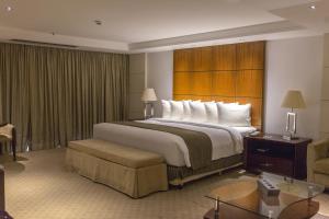巴西利亚毕塔大酒店的酒店客房带一张大床和一把椅子
