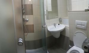 锡比乌Apartament Romanita的带淋浴、盥洗盆和卫生间的浴室