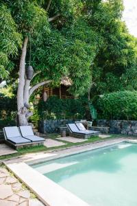 Isletas de GranadaIsleta El Espino的一座游泳池,旁边是树,设有两把躺椅