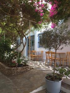 卡塔波拉Hotel Minoa的庭院配有桌椅和树木