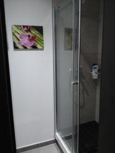 罗萨里奥港Studio Loft Fuerteventura的浴室里设有玻璃门淋浴