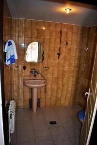 LovechHotel Bilyana的浴室配有盥洗盆和带镜子的淋浴