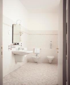萨尼科赛比诺酒店的白色的浴室设有水槽和卫生间。