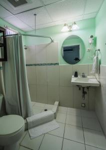 西班牙港87号酒店的带淋浴、卫生间和盥洗盆的浴室
