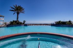 加尔维斯敦Point West Resort的一座棕榈树和海洋游泳池