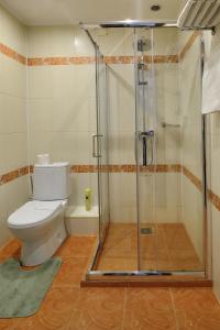 克麦罗沃Hotel Evraziya的一间带卫生间和淋浴的浴室