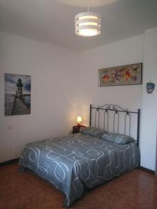 巴耶格兰雷伊高尤戈梅拉公寓的一间卧室配有床、灯和灯