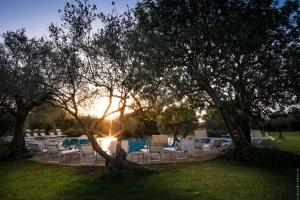 San Corrado di Fuori马赛利亚德格里乌里维酒店的一组椅子和一个阳光明媚的游泳池