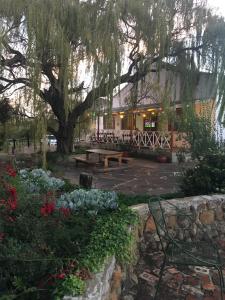 Van Reenen江景江山旅馆的一个带野餐桌和树的公园