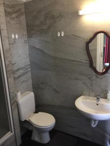 根特瓦康迪罗吉斯法哈洛比旅馆的一间带卫生间和水槽的浴室