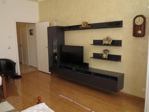 维也纳卡皮托小型豪华公寓的客厅设有壁挂式平面电视。