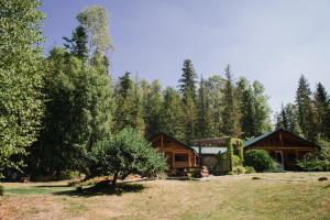 克利尔沃特Cedar Haven Cabins and Resort的树林中的小木屋,带院子