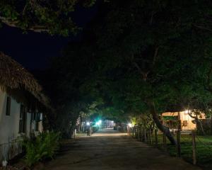 维兰库卢什Vila la Mar Vilanculo的树成荫的街道,晚上有灯光