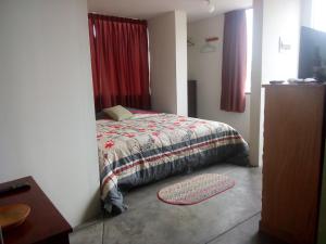 利马La Casa del Che Fernando的一间小卧室,卧室内配有一张床铺