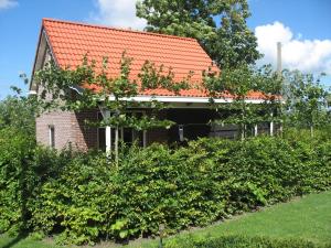 塞罗斯凯尔克Vakantiewoning de Boshoorn的一座带橙色屋顶和灌木的房子