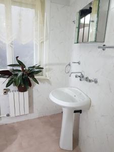 VladayaBoeritza Hotel Complex的白色的浴室,配有水槽和盆栽植物
