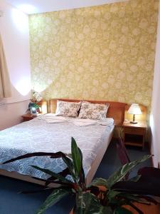 VladayaBoeritza Hotel Complex的一间卧室配有一张床和盆栽植物