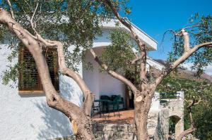 斯克佩罗Villa Mediterranea的白色房子前面的树,带桌子和椅子
