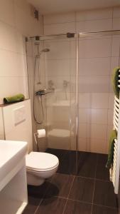 马尔尼茨叶嘉霍夫膳食公寓的带淋浴、卫生间和盥洗盆的浴室