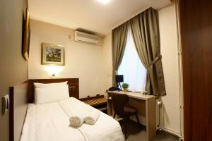 沙巴茨Villa Galeb的配有一张床、一张书桌和一扇窗户的酒店客房