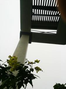 木州县莫克舟民宿的植物的窗户的封闭
