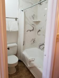 PrestonPlaza Motel的一间带卫生间和淋浴帘的浴室