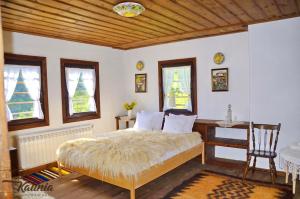 科瓦切维卡Kalinia Guesthouse B&B的卧室配有一张床、一张书桌和窗户。