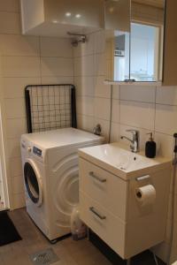 瓦萨Pro Apartments 5的一间带洗衣机和水槽的浴室